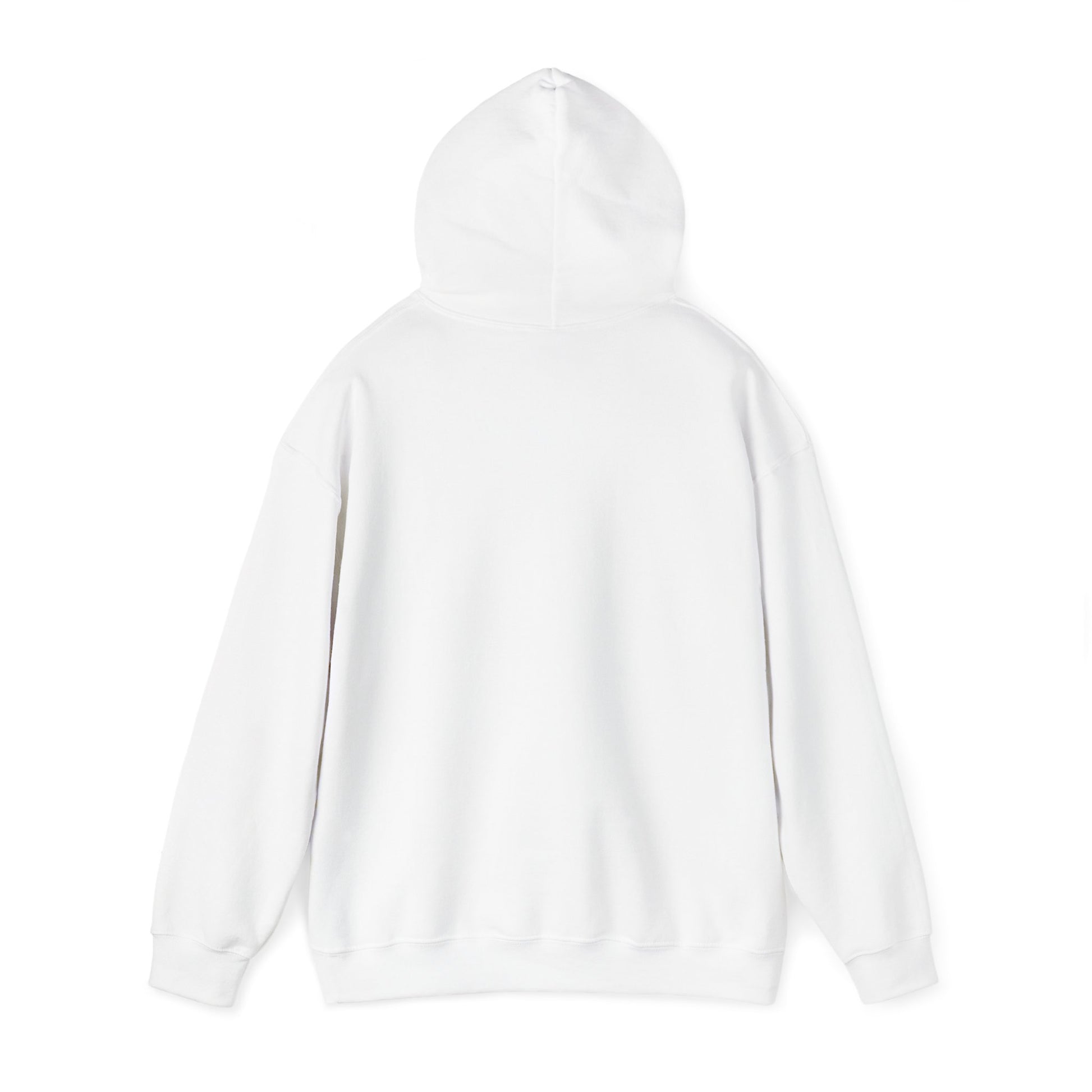 sustainable cotton hoodie for everyday wear
